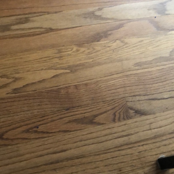 Meet your Posher, Sidney - Picture 1 of 1